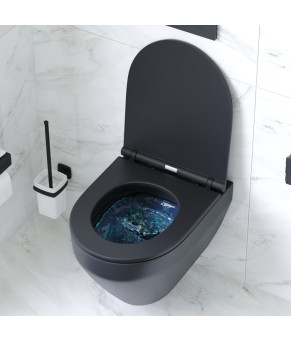 Подвесной унитаз FlashClean с сиденьем микролифт, черн мат AM.PM C701700MBSC Spirit V2.0