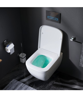 Подвесной унитаз FlashClean с сиденьем микролифт AM.PM C901701SC Gem