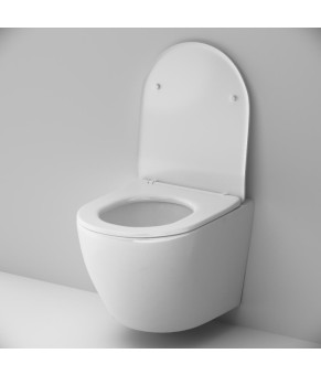 Подвесной унитаз AquaSpin с сид м/лифт AM.PM CLA1900SC Like