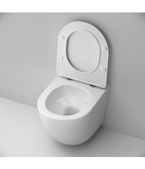Подвесной унитаз AquaSpin с сид м/лифт AM.PM CLA1900SC Like