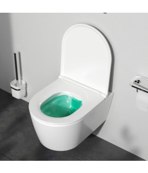 Подвесной унитаз 49 см FlashClean с сиденьем микролифт AM.PM C8F1700SC Func