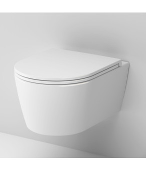 Подвесной унитаз 49 см FlashClean с сиденьем микролифт AM.PM C8F1700SC Func