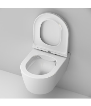 Подвесной унитаз 49 см FlashClean с сиденьем микролифт AM.PM C8F1700SC Func