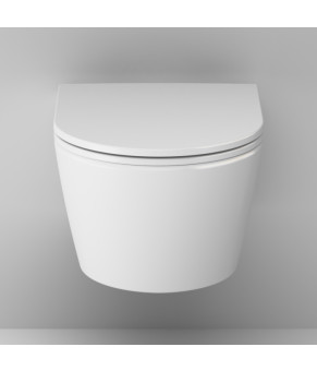 Подвесной унитаз 49 см FlashClean с сиденьем микролифт AM.PM C8F1700SC Func