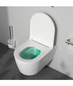 Подвесной унитаз 49 см FlashClean с сиденьем микролифт AM.PM C8F1701SC Func
