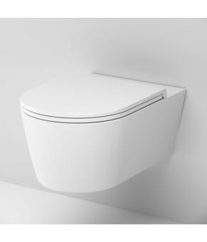 Подвесной унитаз 49 см FlashClean с сиденьем микролифт AM.PM C8F1701SC Func