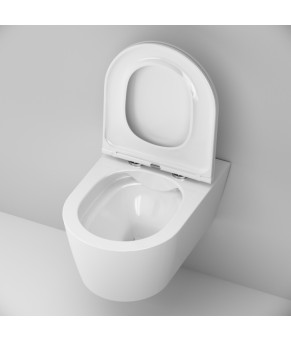 Подвесной унитаз 49 см FlashClean с сиденьем микролифт AM.PM C8F1701SC Func