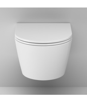 Подвесной унитаз 49 см FlashClean с сиденьем микролифт AM.PM C8F1701SC Func
