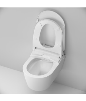 Подвесной унитаз FlashClean c эл крышкой-биде со скрытой подводкой AM.PM C8F1702SC Func