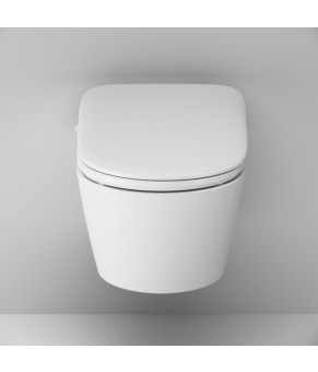 Подвесной унитаз FlashClean c эл крышкой-биде со скрытой подводкой AM.PM C8F1702SC Func