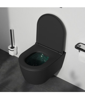 Подвесной унитаз 49 см FlashClean с сиденьем микролифт, черн мат AM.PM C8F1700MBSC Func