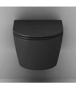 Подвесной унитаз 49 см FlashClean с сиденьем микролифт, черн мат AM.PM C8F1700MBSC Func
