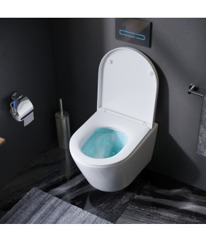 Подвесной унитаз FlashClean с сиденьем микролифт AM.PM C741701SC Sense