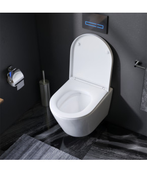 Подвесной унитаз FlashClean с сиденьем микролифт AM.PM C741701SC Sense