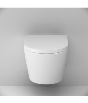 Подвесной унитаз FlashClean с сиденьем микролифт AM.PM C741701SC Sense