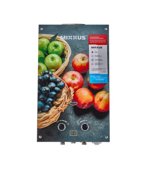 Газова колонка MIXXUS GWH-0310 BASIC GLASS димохідна 10 л/хв (панель зі скла з малюнком) (WH0024)