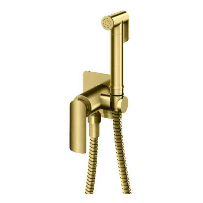 Набор гигиенического душа KOHLMAN EXPERIENCE BRUSHED GOLD (QW135EGDB)
