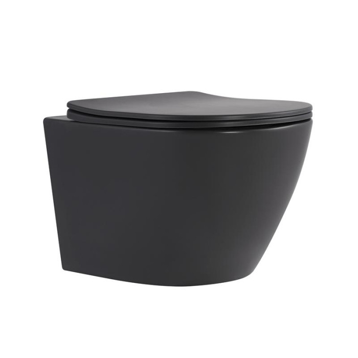 Унітаз підвісний Robin Ultra Quiet 490×365×325 мм, Anthracite, з сидінням Slim Duroplast / Soft-close / Quick Release QT13332381АSAN Qtap
