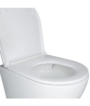 Подвесной унитаз Qtap Robin Ultra Quiet 490x365x325 + инсталляция Nest 4 в 1 (Satin) (SD00051269)