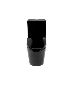 Унитаз-моноблок Insana Marvin BG черный 68*37*77см (A0054427)