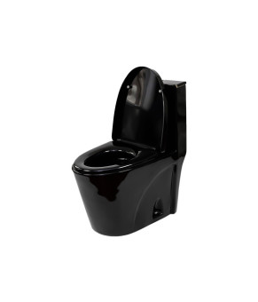 Унитаз-моноблок Insana Marvin BG черный 68*37*77см (A0054427)
