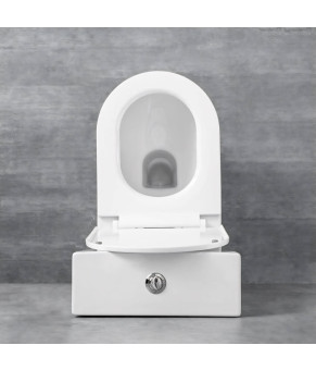 Унитаз-компакт Colonne с бачком и сиденьем дюропласт Ultra Flush (18 842)