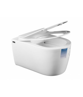 Унитаз Idevit Alfa 3104-2616