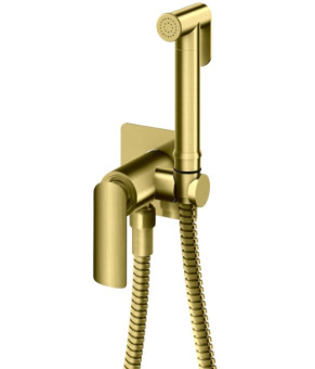 Набор гигиенического душа KOHLMAN EXPERIENCE BRUSHED GOLD (QW135EGDB)