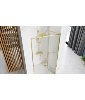 Душевая дверь REA RAPID FOLD 100 GOLD  (REA-K4130)