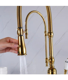 Смеситель для кухни Epelli Art Designo Gold