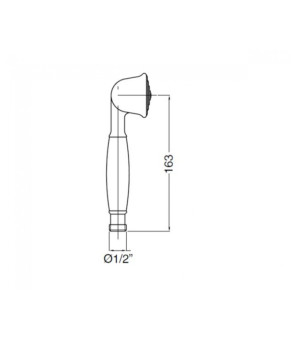 Душевая лейка BUGNATESE ACCESSORI RICBR19150
