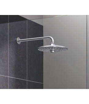 Ручной душ Grohe EUPHORIA 26458000