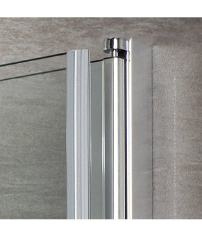 Душові двері Radaway Eos DWD 120 37773-01-01N