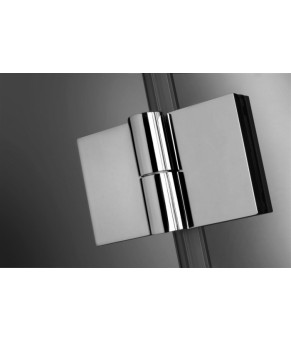 Шторка для ванны Radaway Carena PNJ 202101-101