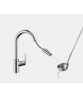 Смеситель Hansgrohe Focus 31815000