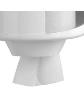 Держатель бумажных полотенец Mediclinics DT0303