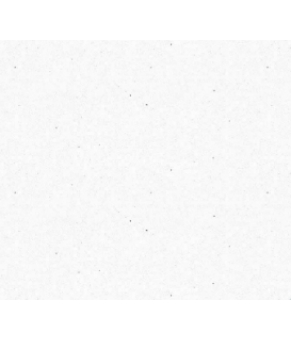 Смеситель Schock SC 520 555000 Super white 01