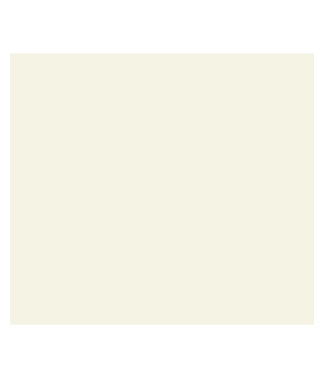 Кухонная мойка Schock Idea N-100 White-linen 161