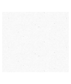 Кухонная мойка Schock Quadro N-100 Super white 01