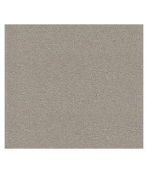 Кухонна мийка Schock Manhattan D-100XS Beton 42