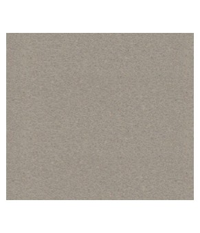 Кухонная мойка Schock Aster D-150S Beton 42