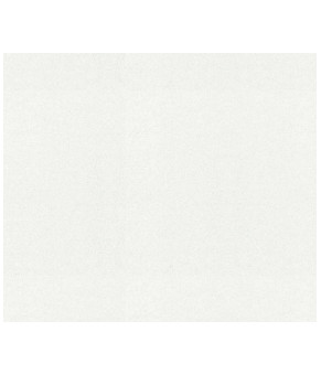 Кухонная мойка Reginox Ohio 40x40 Tapwing Arctic white 21