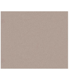 Кухонная мойка Reginox Ohio 40x40 Tapwing Sahara sand 22