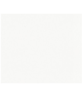 Кухонная мойка Reginox RL304 White 31