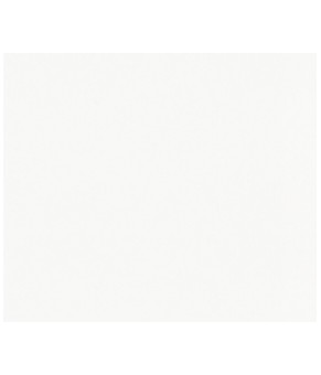 Кухонная мойка Reginox Tuscany White 31