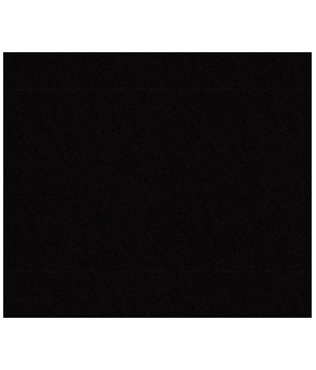 Кухонная мойка Reginox RL301 Black 32