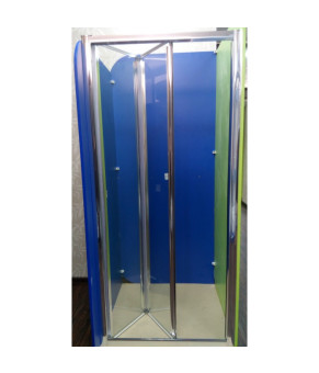 Душевая дверь Atlantis 100х190 ZDM-100-2