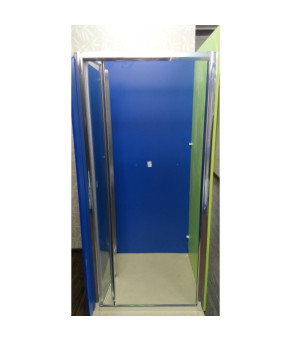 Душевая дверь Atlantis 110х190 ZDM-110-2