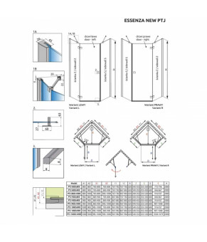 Двери Radaway Essenza New Black PTJ 385010-54-01