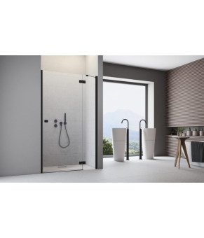 Душові двері Radaway Essenza New Black DWJ 385015-54-01